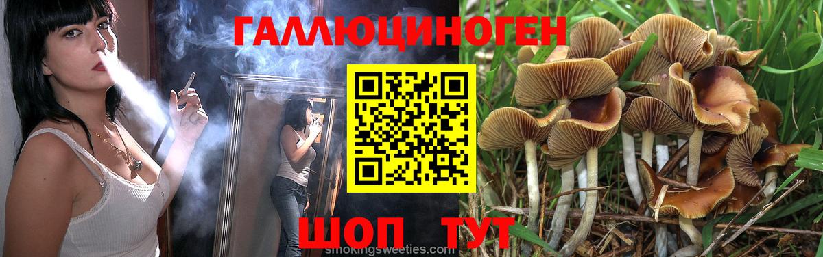 Галлюциногенные грибы мицелий  Галлюциногенные грибы Psilocybe  Санкт-Петербург  цены   Вход с VPN 