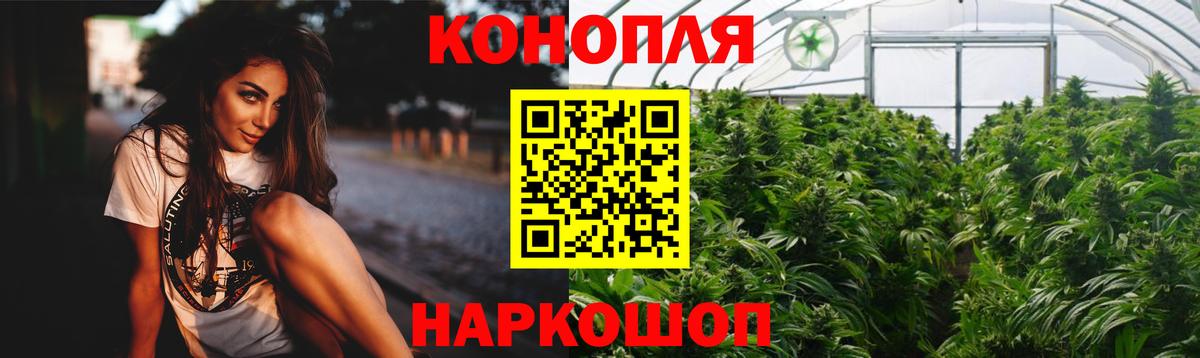 Бошки Шишки планчик Санкт-Петербург